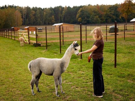 jak wizyty-w-minizoo-wplywaja-na-cieakwosc-najmlodszych